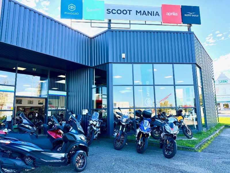 Scoot Mania