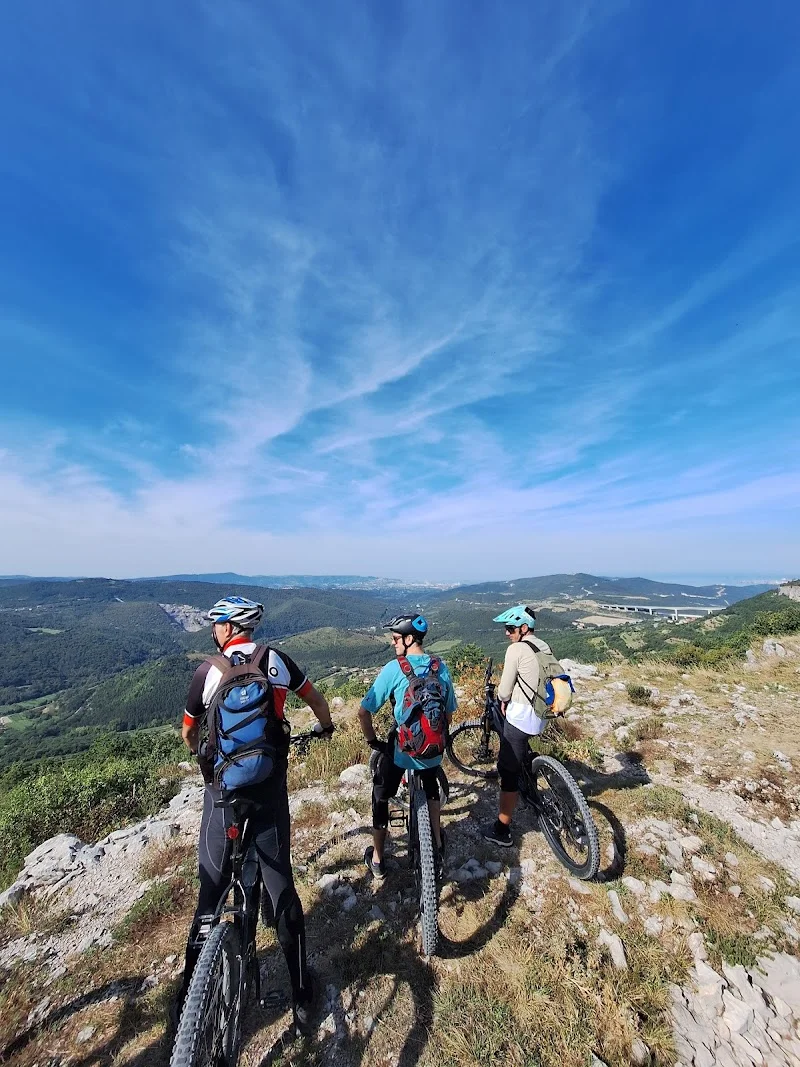 Bora Experience - E-Bike Rental and Guided Tours in Izola