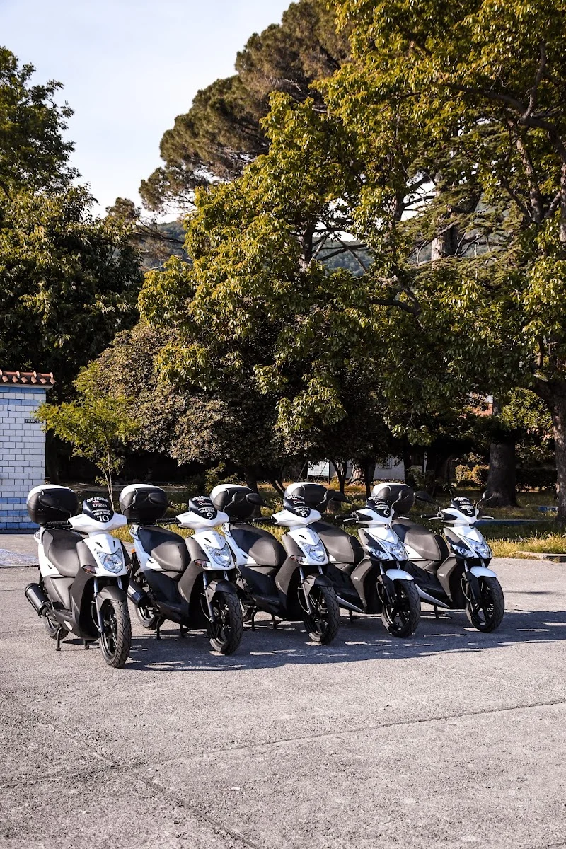 Rent-a-scooter Queen